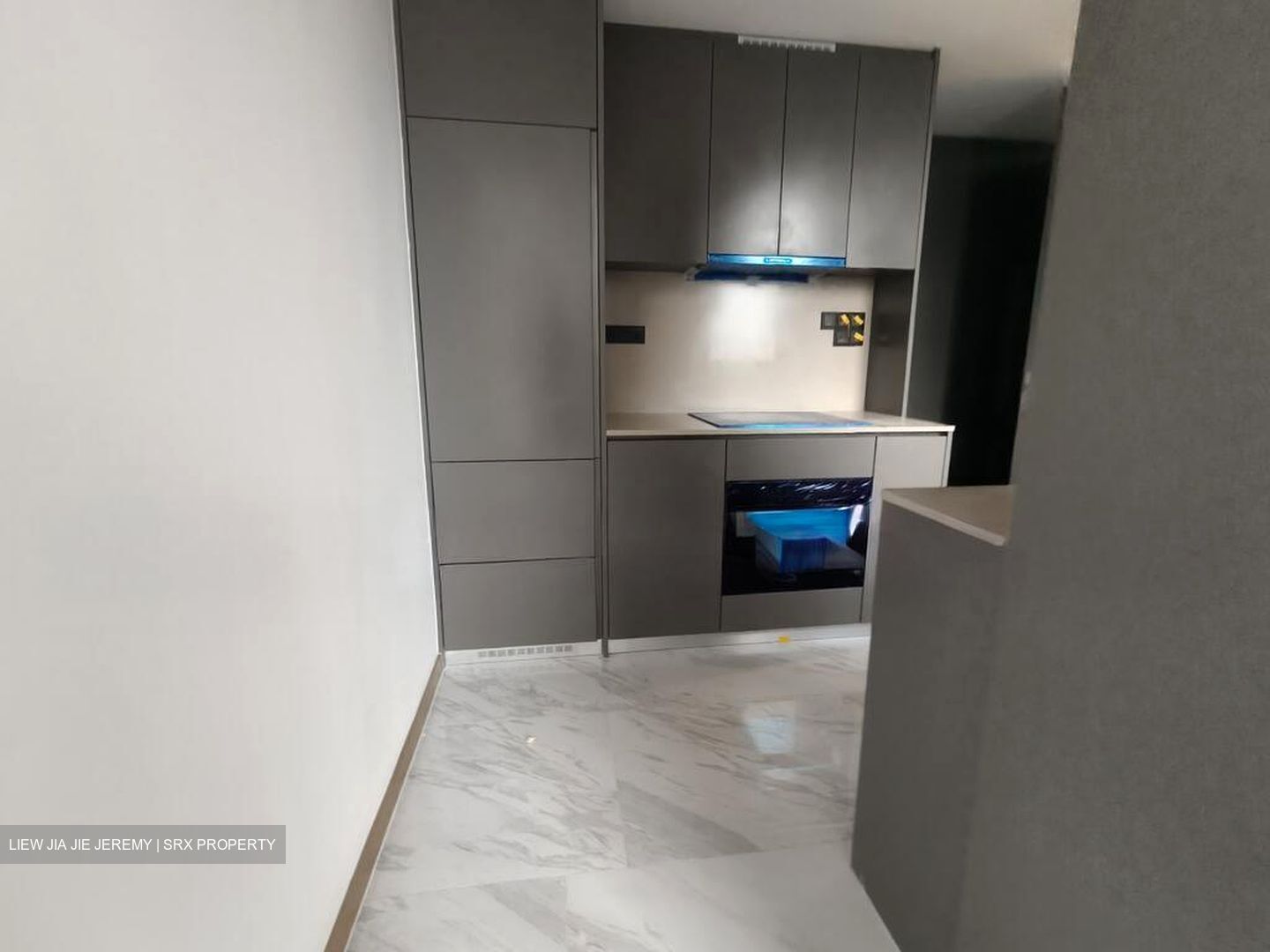 The Landmark (D3), Condominium #517284431
